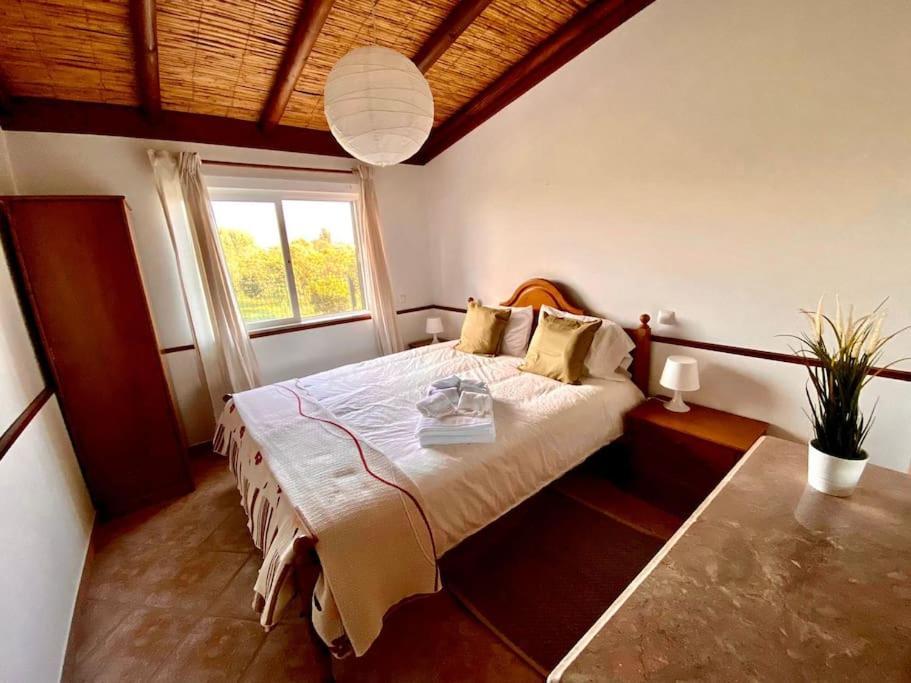 Palma'S Place Casanova Villa #Wifi#Heatedpool#Relax Faro Exterior photo